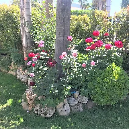 Villa Suenos De Puente *